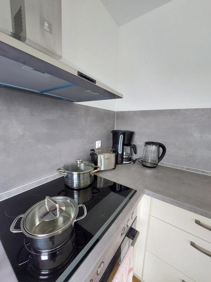 Moderne Wohnung Mit Vollausstattung In Ruhiger Lage, W-Lan Grossrohrsdorf Eksteriør bilde