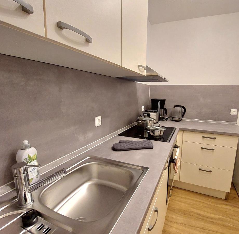 Moderne Wohnung Mit Vollausstattung In Ruhiger Lage, W-Lan Grossrohrsdorf Eksteriør bilde